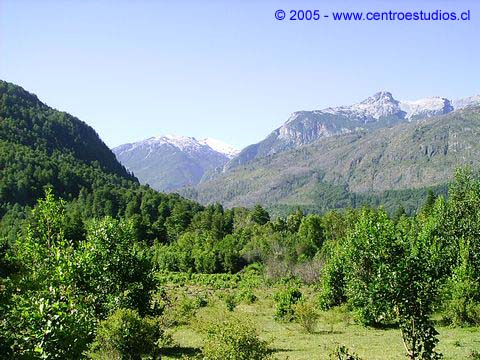 Cajn del Ro Puelo, vista hacia el Sur.